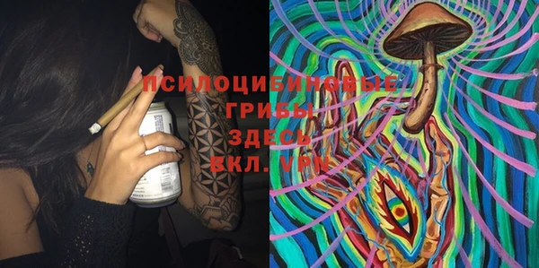 бошки Аркадак